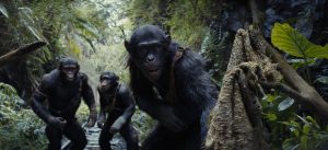 DC Movie Critics, DC Movie Reviews, DC Film Critics, Eddie Pasa, Movie Critics, Film Critics, Movie Review, Film Review, 20th Century Studios, Kingdom of the Planet of the Apes, Planet of the Apes