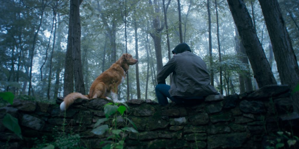 DC Movie Critics, DC Movie Reviews, DC Film Critics, Eddie Pasa, Movie Critics, Film Critics, Movie Review, Film Review, Independent Film Company, Shudder, Good Boy, 2025