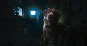 DC Movie Critics, DC Movie Reviews, DC Film Critics, Eddie Pasa, Movie Critics, Film Critics, Movie Review, Film Review, Independent Film Company, Shudder, Good Boy, 2025