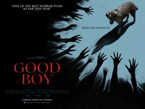 DC Movie Critics, DC Movie Reviews, DC Film Critics, Eddie Pasa, Movie Critics, Film Critics, Movie Review, Film Review, Independent Film Company, Shudder, Good Boy, 2025